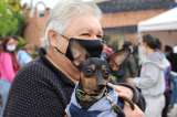 ¿Tiene perro o gato? Bogotá habilita más de 10.000 esterilizaciones gratuitas durante julio