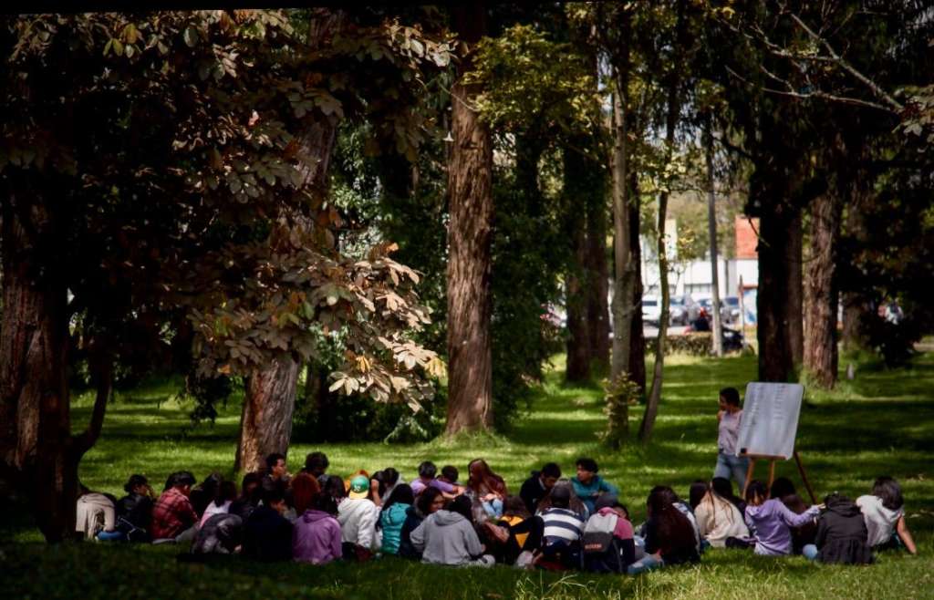 Estudiantes aprovechan el campus de la Universidad Nacional de Colombia en Bogotá para tomar clase al aire libre.