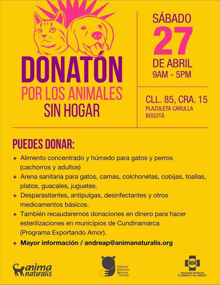 Cabe resaltar que en 2018 no se pudo realizar el evento porque no se logró un espacio idóneo para la actividad. Cada año, en promedio, esta donatón ayuda a 70 refugios y hogares de paso que albergan unos 2.500 animales.