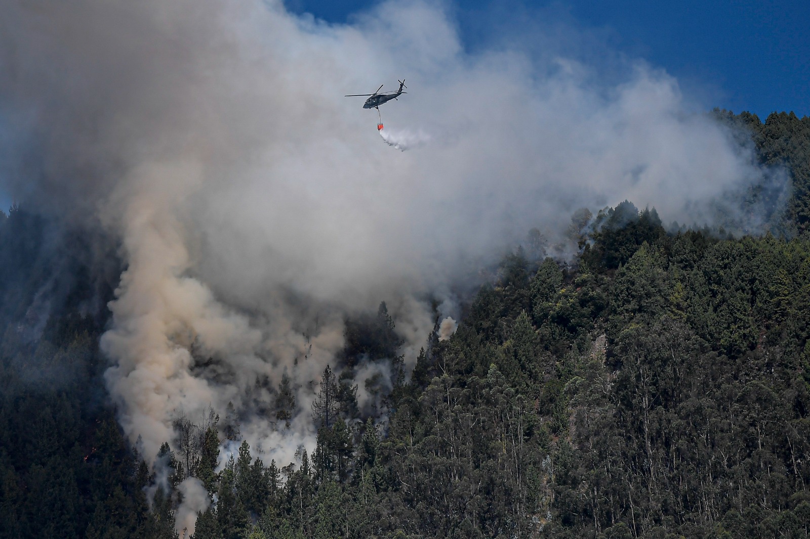 Incendio en el cerro El Cable, en Bogotá.