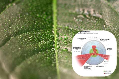 Agua verde, el nuevo límite planetario que proponen (y que ya habríamos superado)