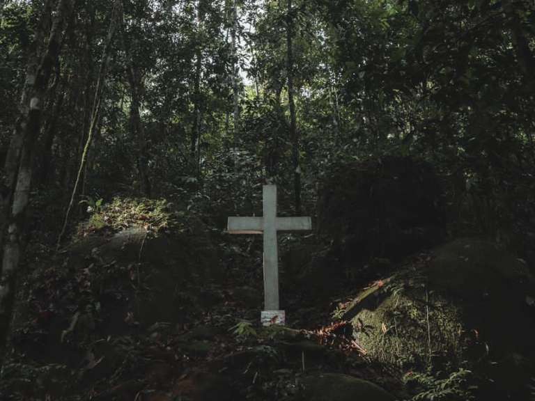 Estas cruces fueron talladas por los habitantes de la región de Cerritos quienes, junto con el padre Javier González, hicieron un improvisado camino de peregrinación.