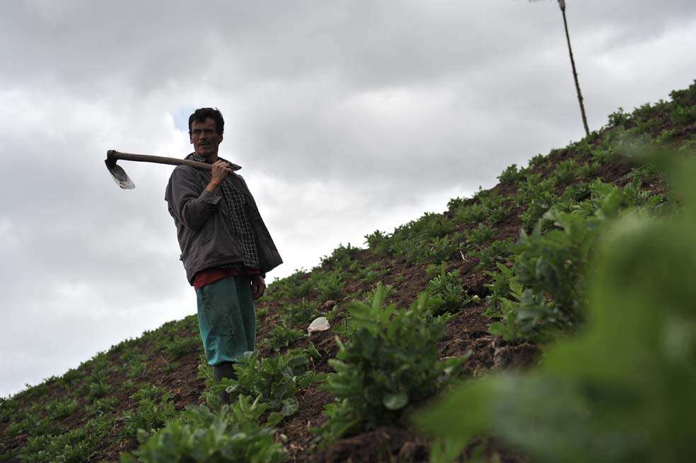 Bogotá 2013 / Trabajador en el territorio de Sumapaz (Cundinamarca), para el cual desde 2011 se iniciaron tramites para ser declarado zona de reserva campesina