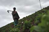 Con tutela, piden que el Gobierno formalice tres zonas de reserva campesina