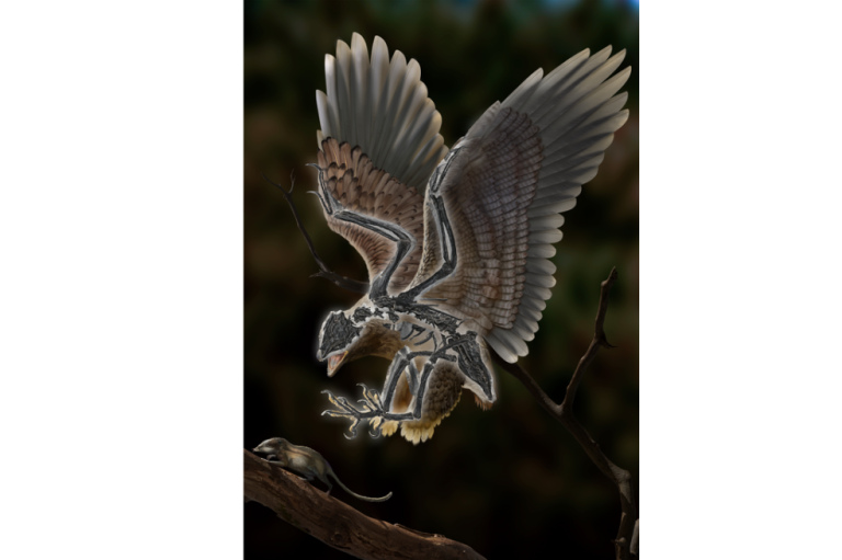 Fósil ‘bizarro’ complica comprensión de evolución de los dinosaurios hasta ser aves