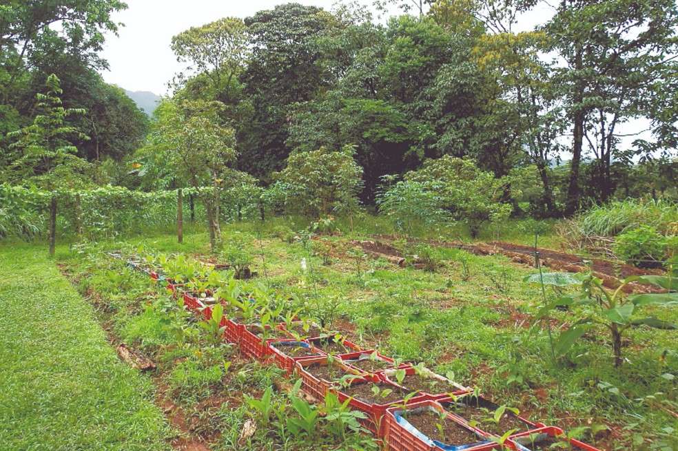 Camaná es una fundación que desarrolla proyectos de educación ambiental.