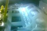 Murió la semilla que China había logrado germinar en la luna