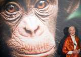 El legado de esperanza de Jane Goodall