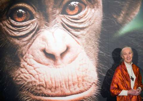 El legado de esperanza de Jane Goodall
