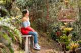 Colombia, pionera en conciertos de plantas con música clásica en vivo