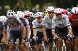 El instinto: la utopía de un ciclismo de otros tiempos