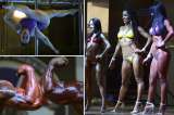 Los músculos y el ‘pole dance’ se tomaron Medellín