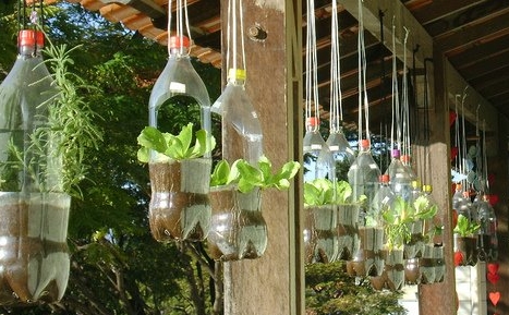 La idea de sembrar en botellas plásticas surge como una solución sostenible para reutilizar desechos, optimizando el espacio en áreas urbanas. Es una iniciativa ecológica que promueve el reciclaje y la autosuficiencia alimentaria en entornos limitados.