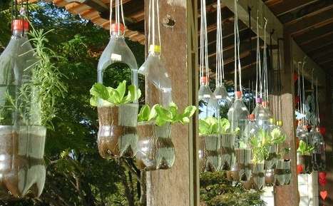 La idea de sembrar en botellas plásticas surge como una solución sostenible para reutilizar desechos, optimizando el espacio en áreas urbanas. Es una iniciativa ecológica que promueve el reciclaje y la autosuficiencia alimentaria en entornos limitados.