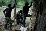 En Tumaco, Farc habrían violado acuerdo de no hacer política en armas