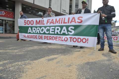 La crisis arrocera exige planificación gremial