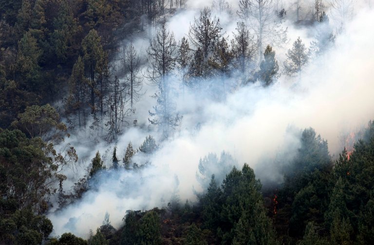 Estos son los lugares de Colombia con más probabilidad de tener incendio forestal