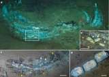 Hallan un “cementerio” submarino de ballenas que se extiende por 1.200 kilómetros