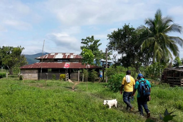 Ordenan censo especial de campesinos retornados a Guacamayas, Antioquia