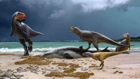 Descubren estos dos primos desconocidos del Tiranosaurio rex