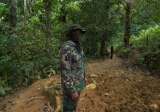 Video: jefe de Autodefensas de la Sierra habla de la guerra con Clan del Golfo