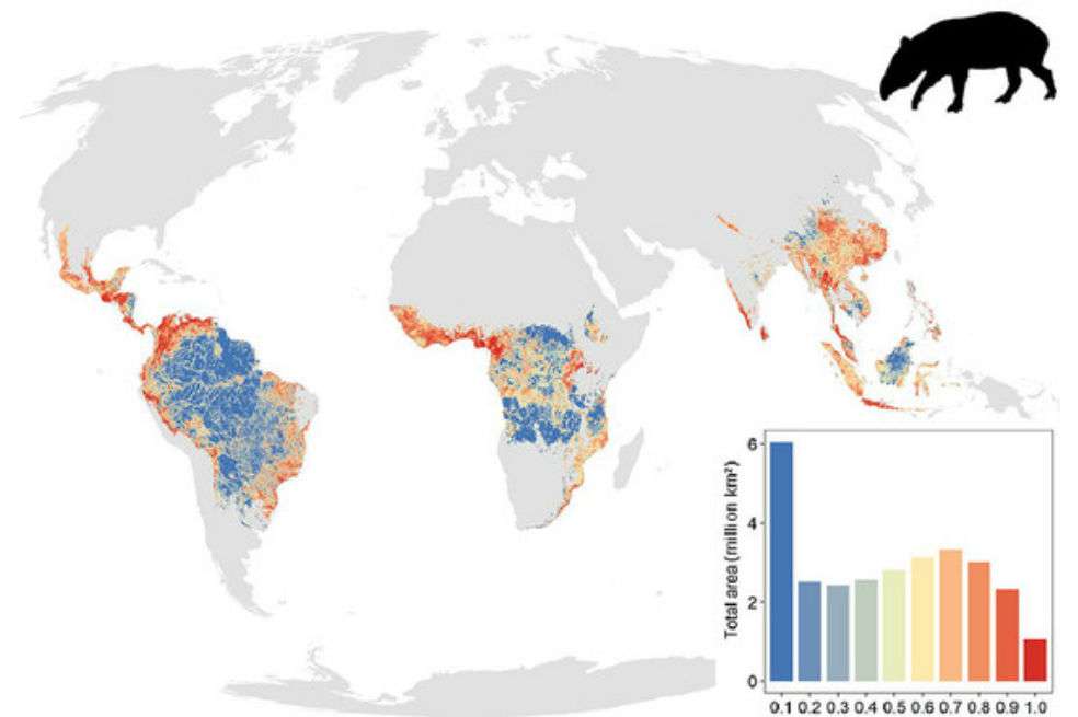 Diferentes niveles de defaunación de grandes mamíferos en los trópicos.Ana Benítez-López et al.“Hay zonas donde la mayoría de las especies podrían tener poblaciones reducidas al 70% o más como en África occidental”, advierte la investigadora. Áreas como África oriental, África central, América central, y el sureste asiático (Tailandia, Malasia y suroeste de China) están también amenazadas ya que son cada vez más accesibles.