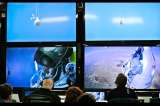 Felix Baumgartner logró romper la barrera del sonido en caída libre