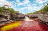 Abre Caño Cristales 2026: fechas, precios y todo lo que necesitas saber antes de ir