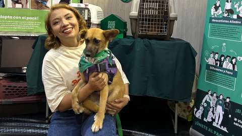 Gran jornada de adopción en Bogotá: más de 40 perros y gatos buscan hogar
