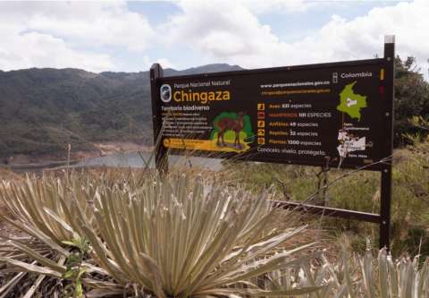 Chingaza Fest 2026: cómo llegar al parque y vivir el festival entre páramos y naturaleza
