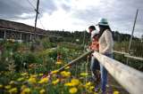Una tarde en una finca temática de los silleteros de Medellín