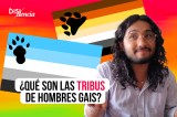 ¿Oso, nutria o lobo? Le explicamos algunas de las subculturas homosexuales