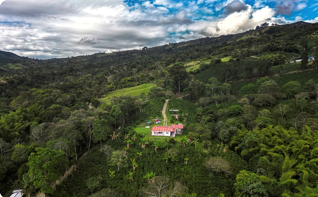 El Huila se perfila no solo como líder en producción cafetera, sino también como un modelo de integración entre el turismo y la agricultura. Las fincas ecoturísticas son el mejor ejemplo de cómo estas dos actividades pueden complementarse para impulsar la economía local y posicionar al departamento en el mapa mundial.