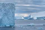 Inicia, oficialmente, el año para preservar los glaciares: ¿Cómo evitar perderlos?