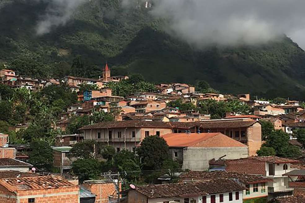 Támesis es una tierra cafetera que amanece cubierta de niebla. / David Zuluaga