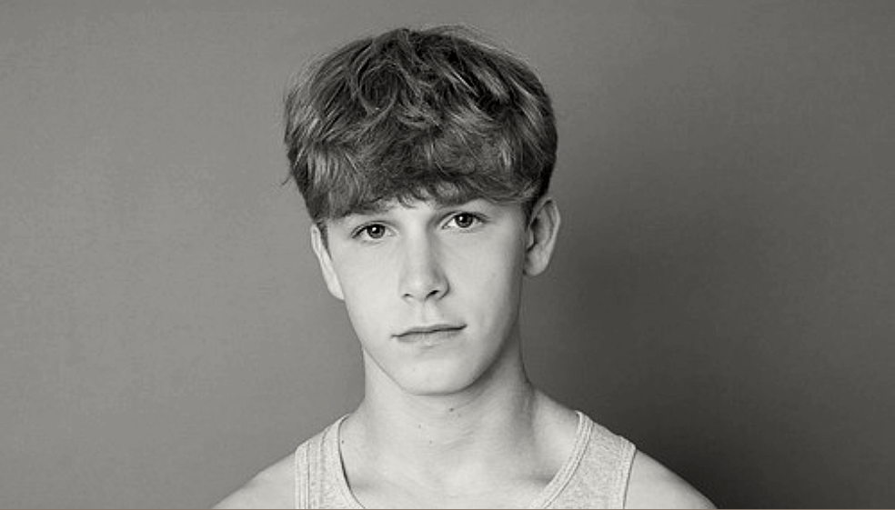 Hudson Meek, actor norteamericano de 16 años.