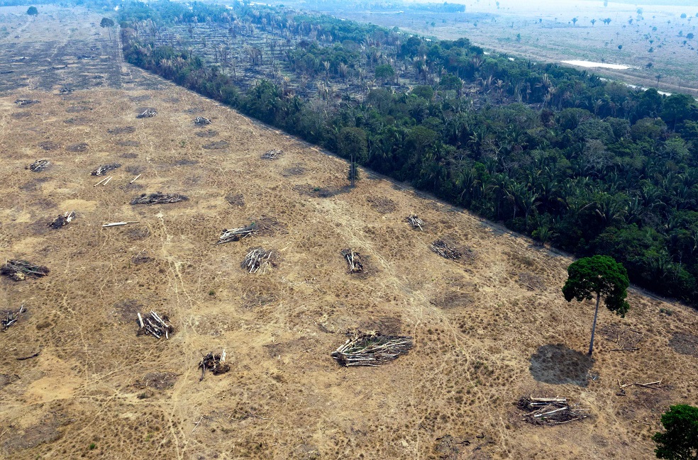 Deforestación Amazonía brasileña