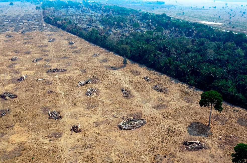 Deforestación Amazonía brasileña