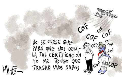 Con matrícula condicional