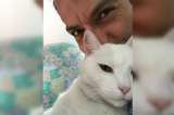 “Los gatos te protegen de muchas cosas”: Iván Lalinde