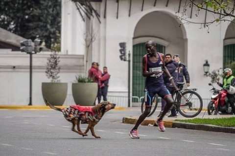 Corredor denuncia que perdió el primer lugar en una maratón tras ataque de perro