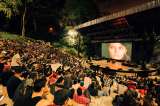 Cine gratuito en Medellín: así será el festival donde podrá ver más de 120 títulos