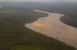 La amenaza de la selva del Vaupés por cuenta de la deforestación y la ganadería