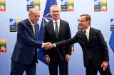 La OTAN tiene nuevo miembro: Turquía acepta a Suecia dentro de la alianza