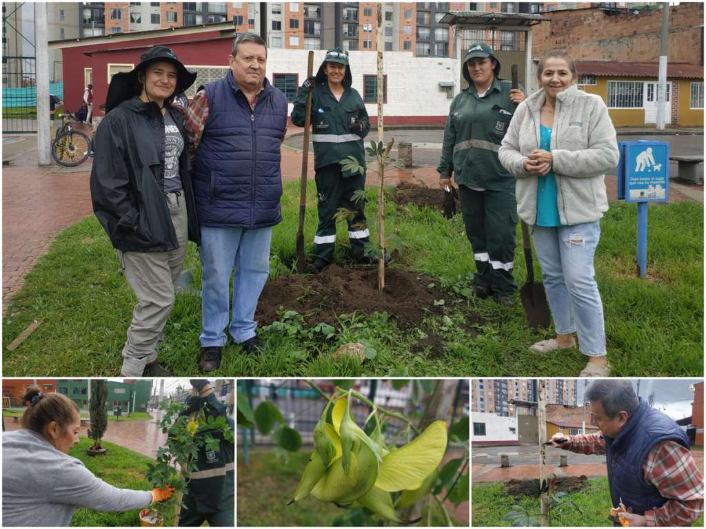 El inicio de la siembra de arbolado fue el martes 29 de mayo