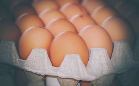 Cómo le puede pegar la guerra en Ucrania a los precios del pollo y los huevos