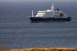 Las claves para entender el hantavirus y el brote que mantiene aislado a un crucero