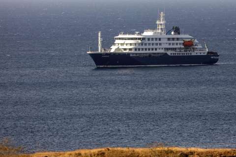 Las claves para entender el hantavirus y el brote que mantiene aislado a un crucero