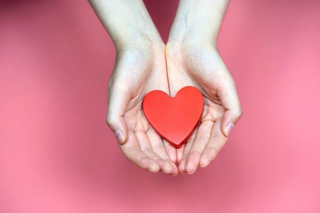 Donar células madre