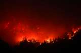Incendios forestales en Canadá y Estados Unidos por ola de calor
